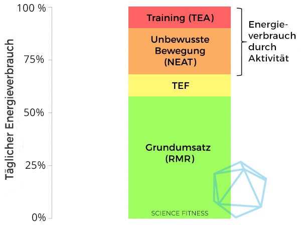 Zusammensetzung des Energieverbrauchs