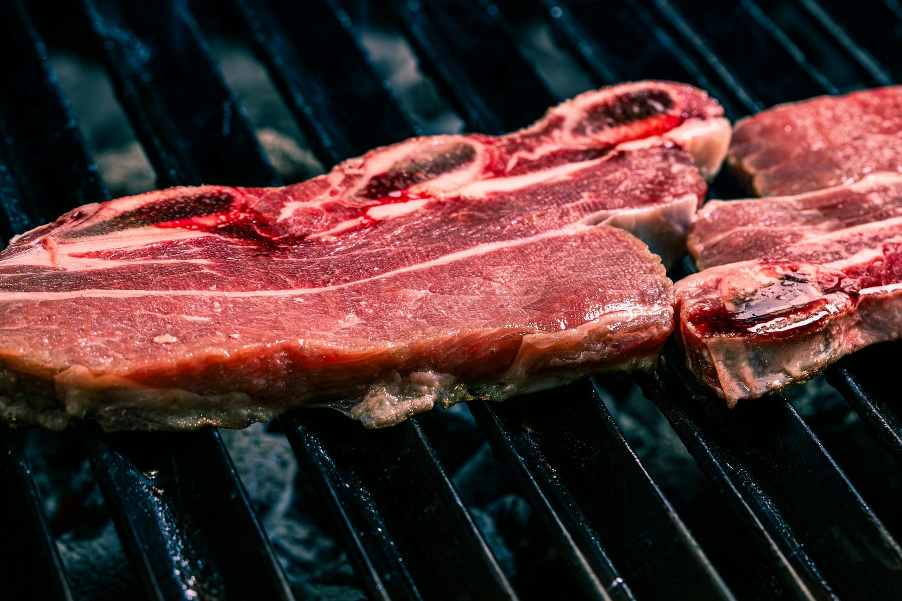 Die Carnivore-Diät — Hype, Hoffnung oder echtes Risiko?